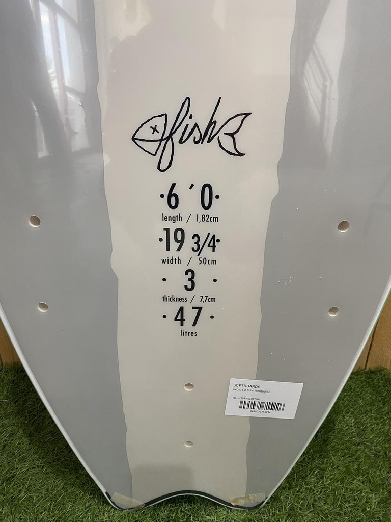 SOFTBOARD FISH 6'0&quot; TURQUOISE