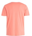 MNS PRTAHAIRD T-SHIRT SHELL PEACH