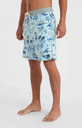 HYPERFREAK MYSTO SCALLOP 19&quot; BOARDSHORT BLUE SKY