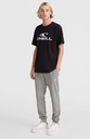 MEN ONEILL SMALL LOGO SWEATPANTS SILVER MELEE