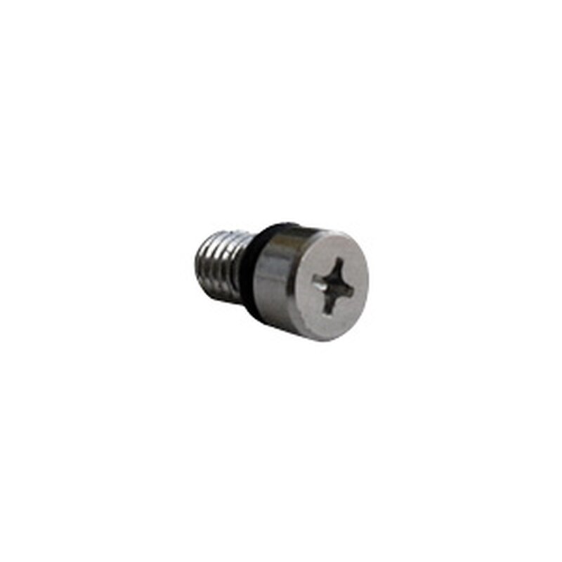 AIR VALVE SCREW PH3 INCLUDING O-RING