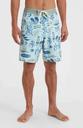 HYPERFREAK MYSTO SCALLOP 19&quot; BOARDSHORT BLUE SKY